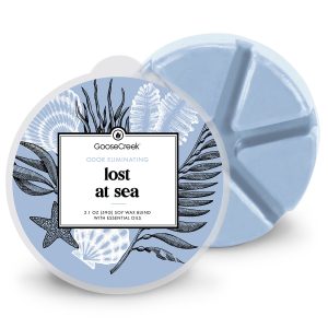 Lost at Sea Odor Eliminating Wax Melt