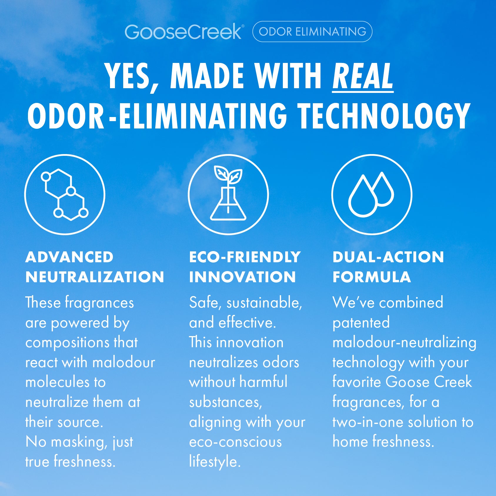 Teakwood Odor Eliminating Plug-in Refill - Image 4